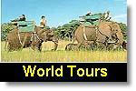 World Tours